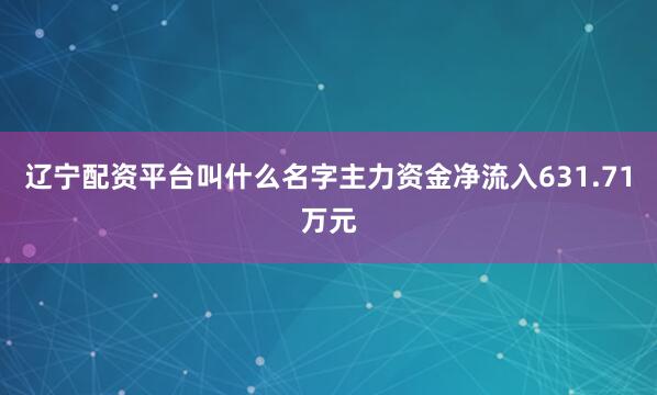 辽宁配资平台叫什么名字主力资金净流入631.71万元